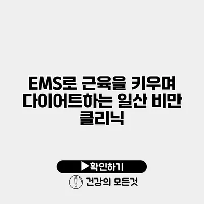 EMS로 근육을 키우며 다이어트하는 일산 비만 클리닉