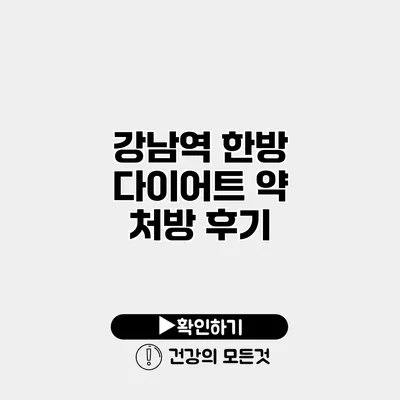 강남역 한방 다이어트 약 처방 후기