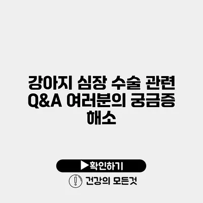 강아지 심장 수술 관련 Q&A 여러분의 궁금증 해소
