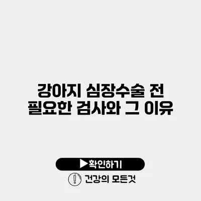 강아지 심장수술 전 필요한 검사와 그 이유