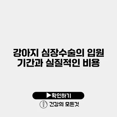 강아지 심장수술의 입원 기간과 실질적인 비용