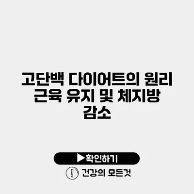 고단백 다이어트의 원리 근육 유지 및 체지방 감소