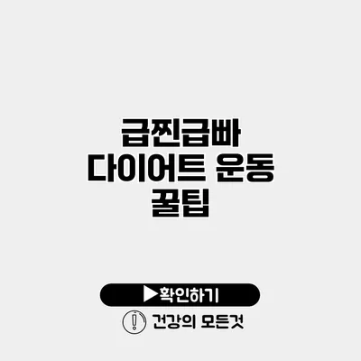 급찐급빠 다이어트 운동 꿀팁