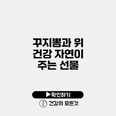 꾸지뽕과 위 건강 자연이 주는 선물