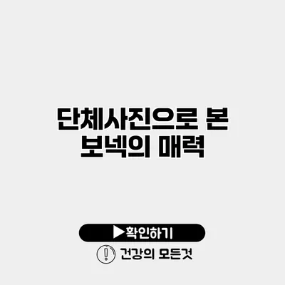 단체사진으로 본 보넥의 매력