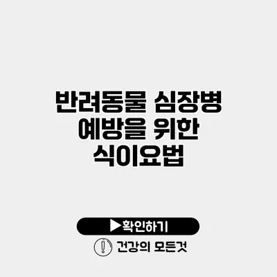 반려동물 심장병 예방을 위한 식이요법