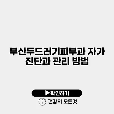 부산두드러기피부과 자가 진단과 관리 방법