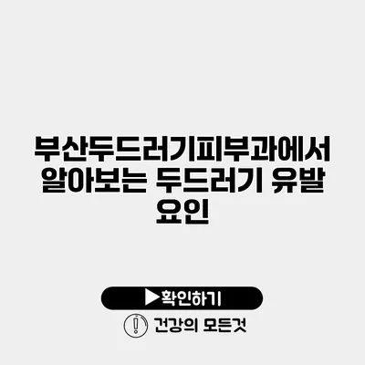 부산두드러기피부과에서 알아보는 두드러기 유발 요인