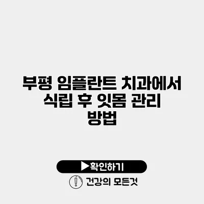 부평 임플란트 치과에서 식립 후 잇몸 관리 방법