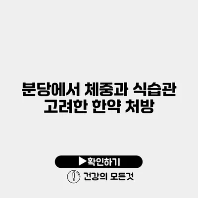 분당에서 체중과 식습관 고려한 한약 처방