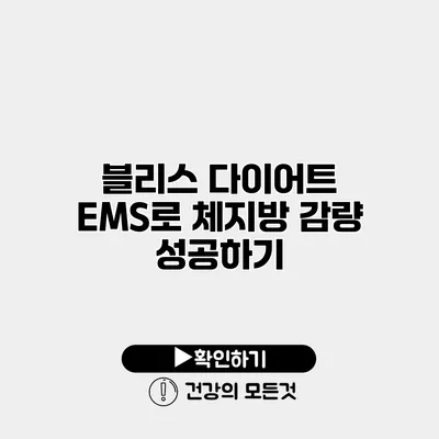 블리스 다이어트 EMS로 체지방 감량 성공하기
