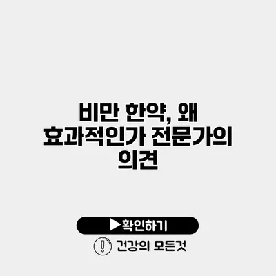 비만 한약, 왜 효과적인가? 전문가의 의견