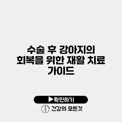 수술 후 강아지의 회복을 위한 재활 치료 가이드