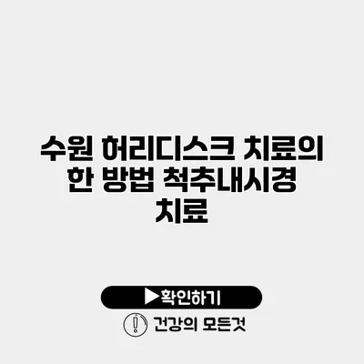 수원 허리디스크 치료의 한 방법 척추내시경 치료