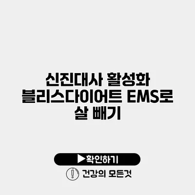 신진대사 활성화 블리스다이어트 EMS로 살 빼기