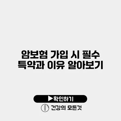 암보험 가입 시 필수 특약과 이유 알아보기