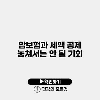 암보험과 세액 공제 놓쳐서는 안 될 기회