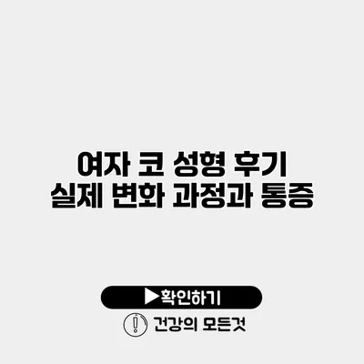 여자 코 성형 후기 실제 변화 과정과 통증