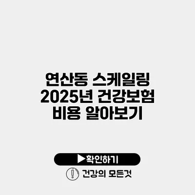 연산동 스케일링 2025년 건강보험 비용 알아보기