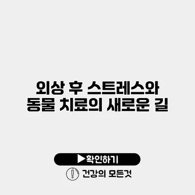 외상 후 스트레스와 동물 치료의 새로운 길