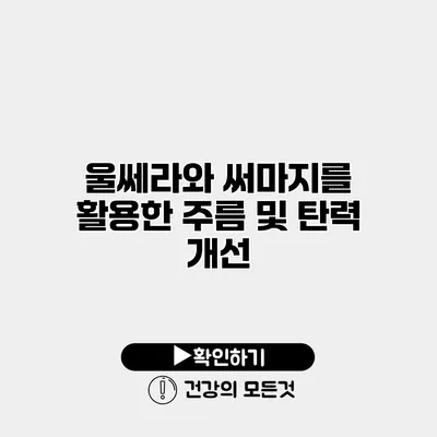 울쎄라와 써마지를 활용한 주름 및 탄력 개선