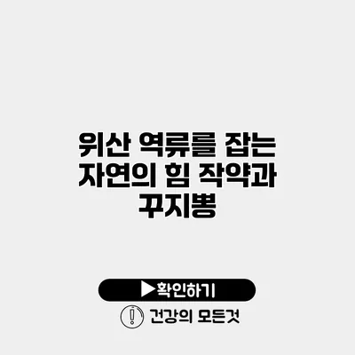 위산 역류를 잡는 자연의 힘 작약과 꾸지뽕
