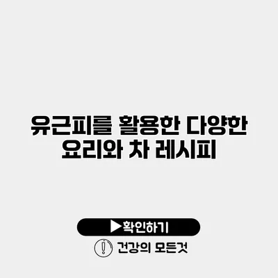 유근피를 활용한 다양한 요리와 차 레시피