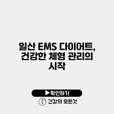 일산 EMS 다이어트, 건강한 체형 관리의 시작