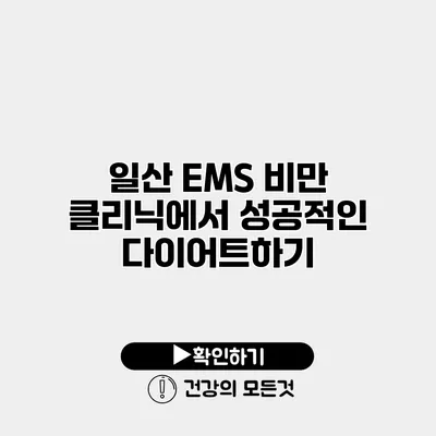 일산 EMS 비만 클리닉에서 성공적인 다이어트하기