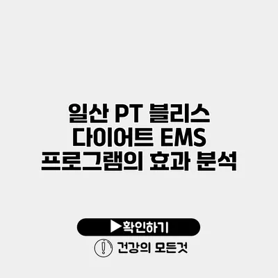 일산 PT 블리스 다이어트 EMS 프로그램의 효과 분석
