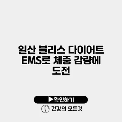일산 블리스 다이어트 EMS로 체중 감량에 도전