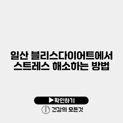 일산 블리스다이어트에서 스트레스 해소하는 방법
