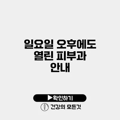 일요일 오후에도 열린 피부과 안내