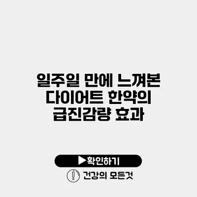 일주일 만에 느껴본 다이어트 한약의 급진감량 효과