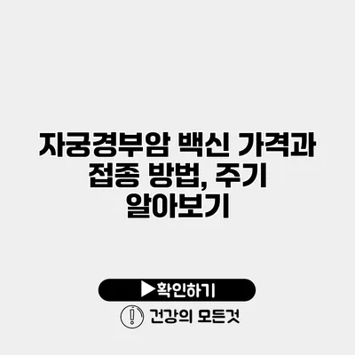 자궁경부암 백신 가격과 접종 방법, 주기 알아보기
