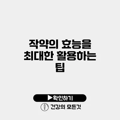 작약의 효능을 최대한 활용하는 팁
