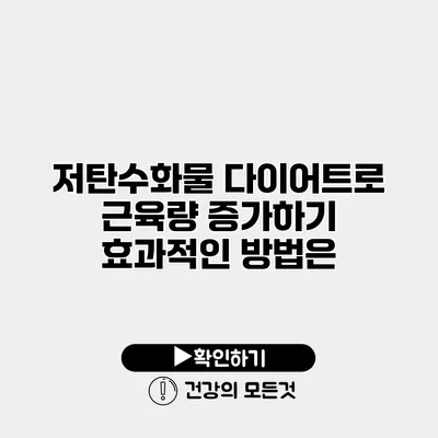 저탄수화물 다이어트로 근육량 증가하기 효과적인 방법은?