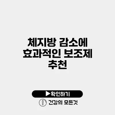 체지방 감소에 효과적인 보조제 추천