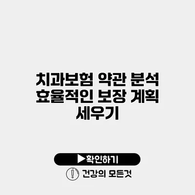 치과보험 약관 분석 효율적인 보장 계획 세우기