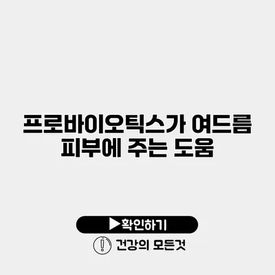 프로바이오틱스가 여드름 피부에 주는 도움