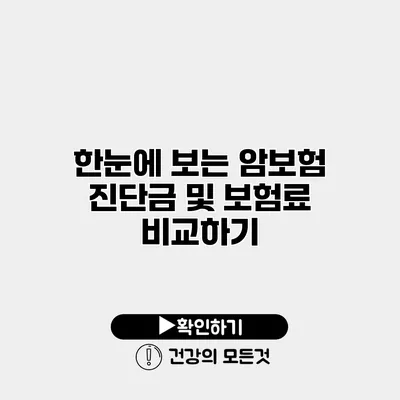 한눈에 보는 암보험 진단금 및 보험료 비교하기