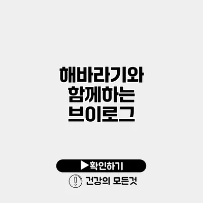 해바라기와 함께하는 브이로그