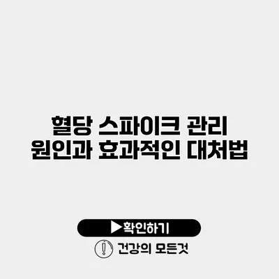 혈당 스파이크 관리 원인과 효과적인 대처법