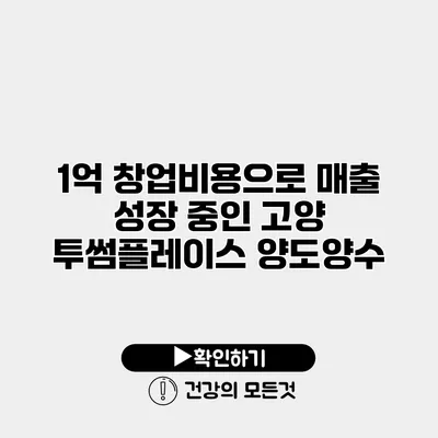 1억 창업비용으로 매출 성장 중인 고양 투썸플레이스 양도양수