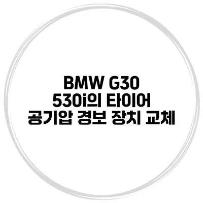 BMW G30 530i의 타이어 공기압 경보 장치 교체