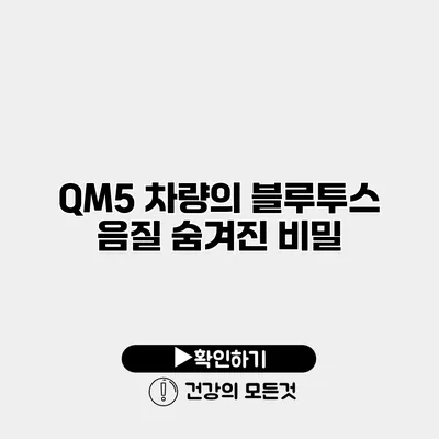 QM5 차량의 블루투스 음질 숨겨진 비밀