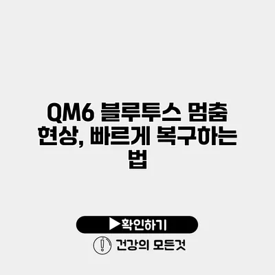QM6 블루투스 멈춤 현상, 빠르게 복구하는 법