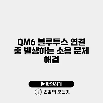 QM6 블루투스 연결 중 발생하는 소음 문제 해결