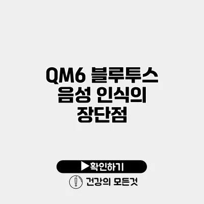 QM6 블루투스 음성 인식의 장단점