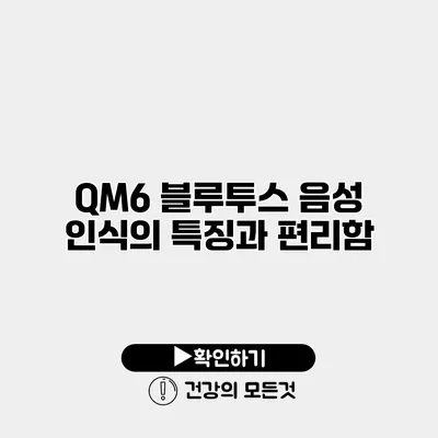 QM6 블루투스 음성 인식의 특징과 편리함